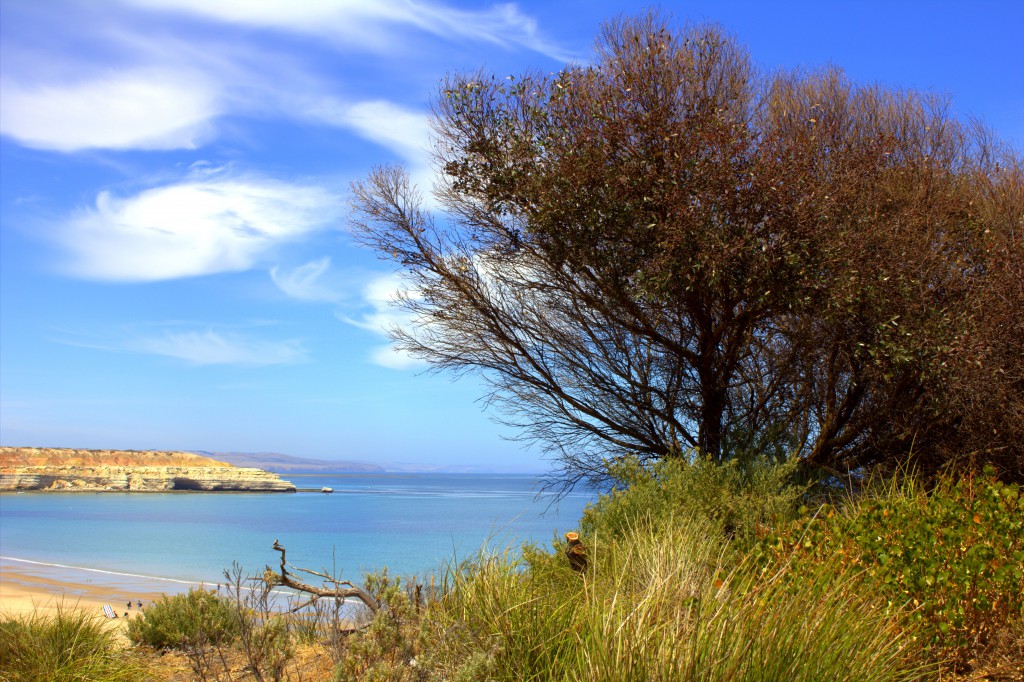 Südaustralien Strand mit Bäumen