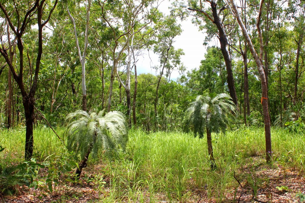 Darwin Nationalpark2