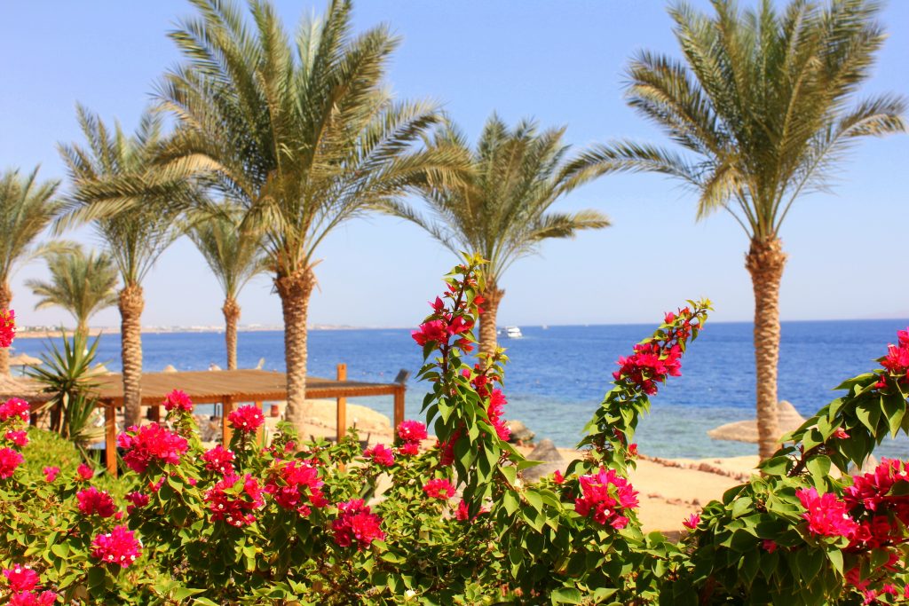 Sharm El Sheikh Resort