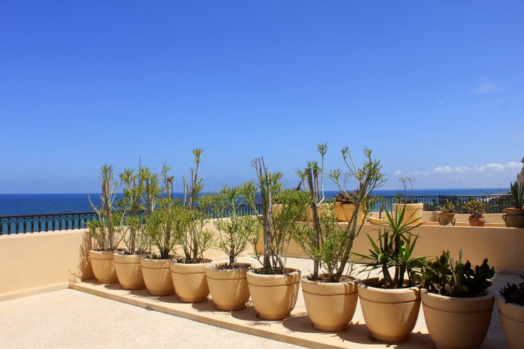 Mövenpick Resort Sousse